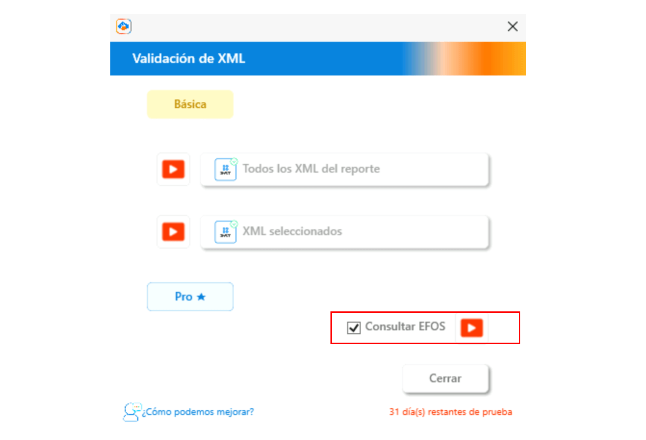 Casilla Efos Seleccionada