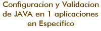 Configuracion y Validacion de JAVA en 1 aplicaciones en Especifico